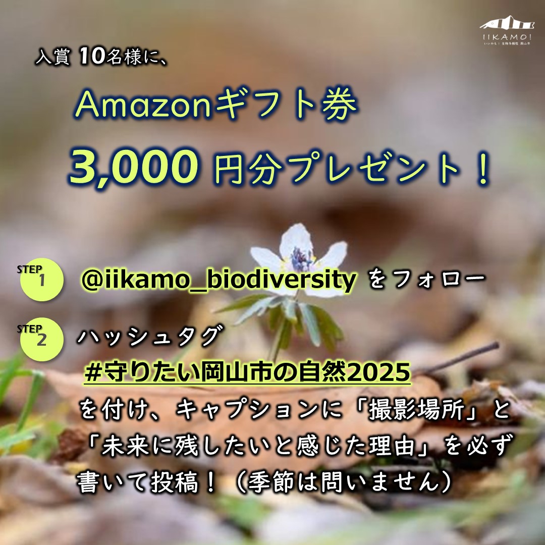 作品募集の写真2