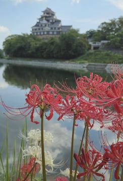 hisao_kawanishiさんの作品