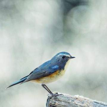 makku_2018さんの作品