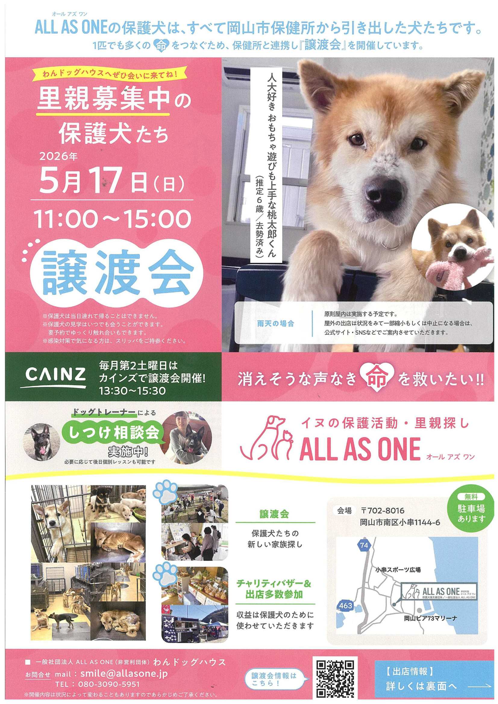 オールアズワン譲渡会