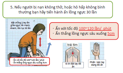 ベトナム語のパンフレットの一部（その1）