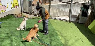 トレーニングも大事