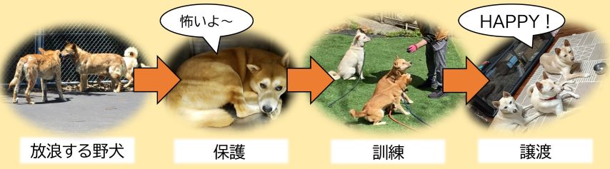 人馴れ訓練のスキーム
