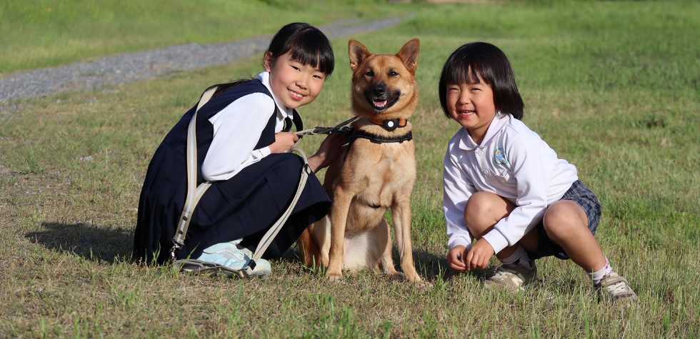 譲渡された犬は、みんな新しい飼い主さんと幸せに暮らしています。
