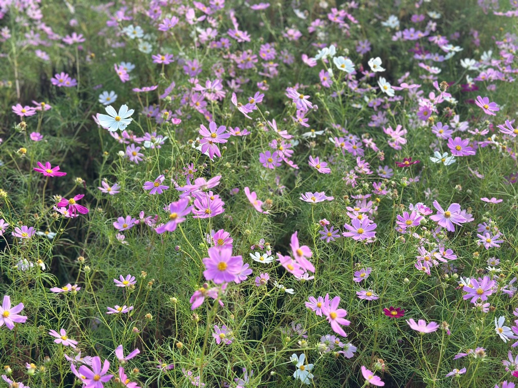 10月14日写真2