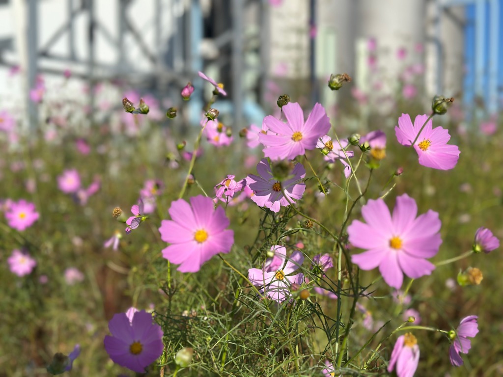 10月24日写真その2