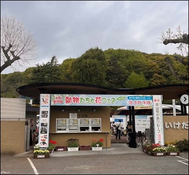 池田動物園花フェスの画像