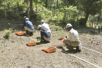 手掘りで発掘する様子