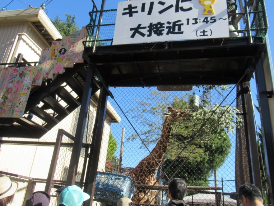 キリンのイベント