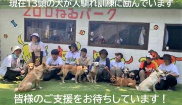皆さんのあたたかいご支援をお待ちしています。