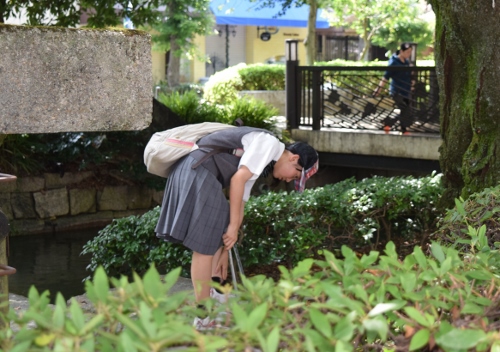 植え込みの中を覗き込む