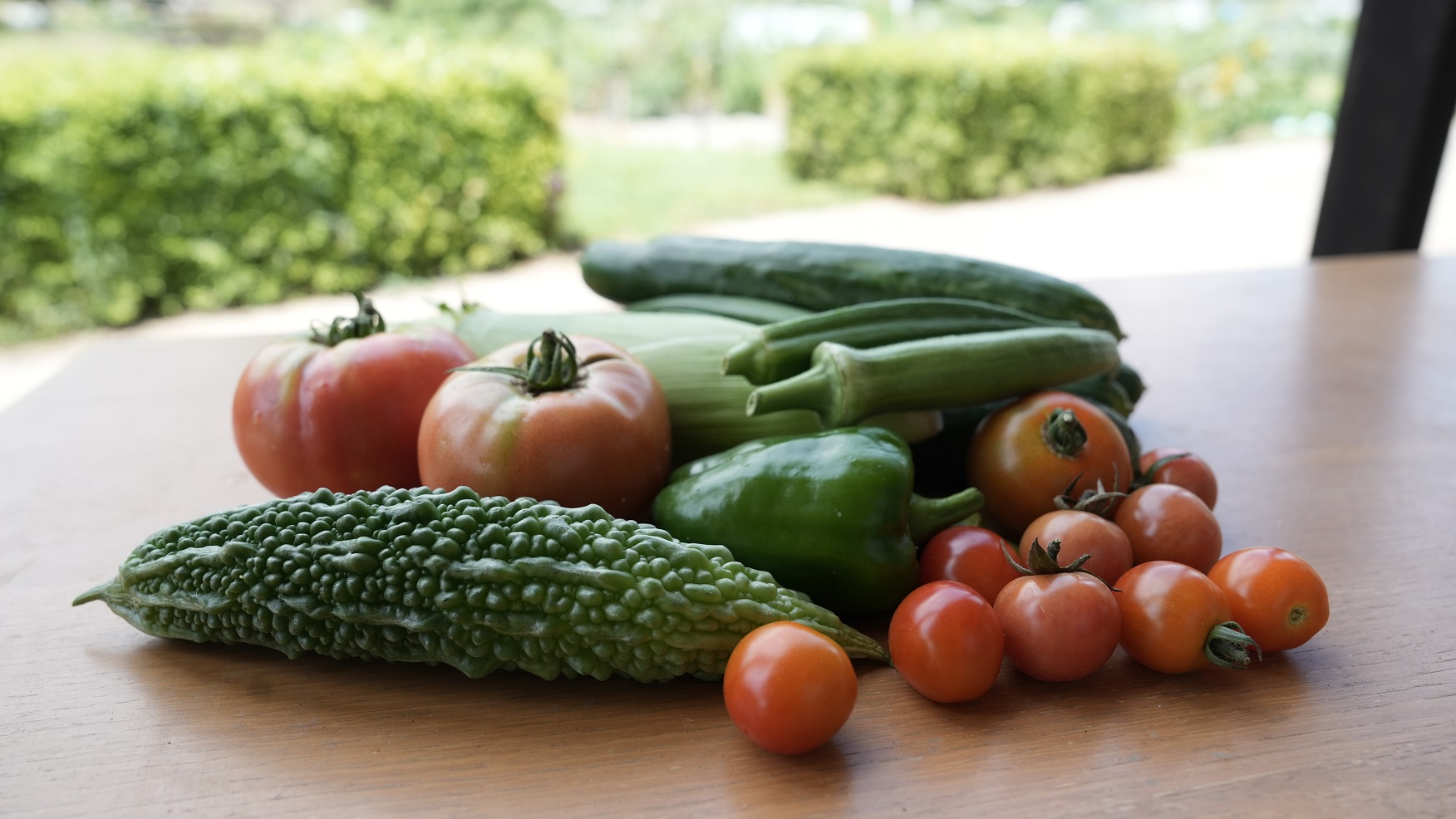 野菜の写真