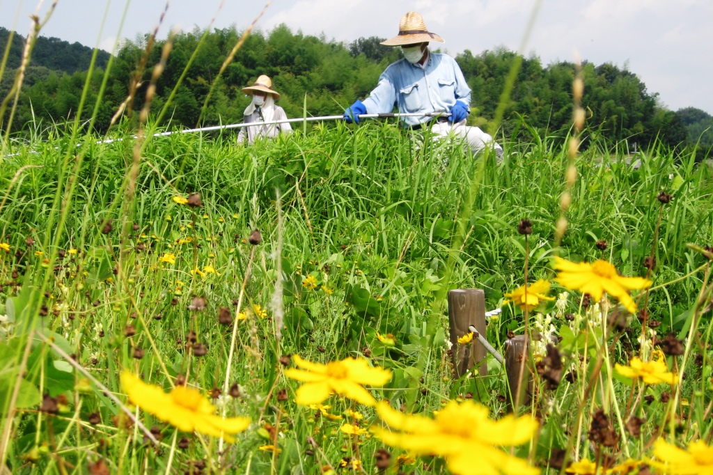 耕作放棄地除草整備の様子