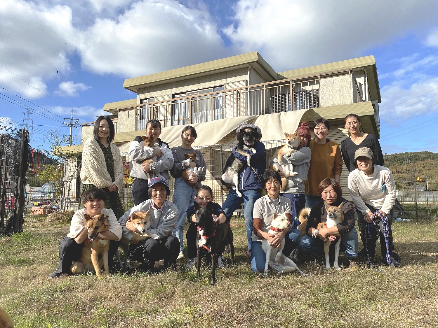 保護犬の人馴れ訓練プロジェクト