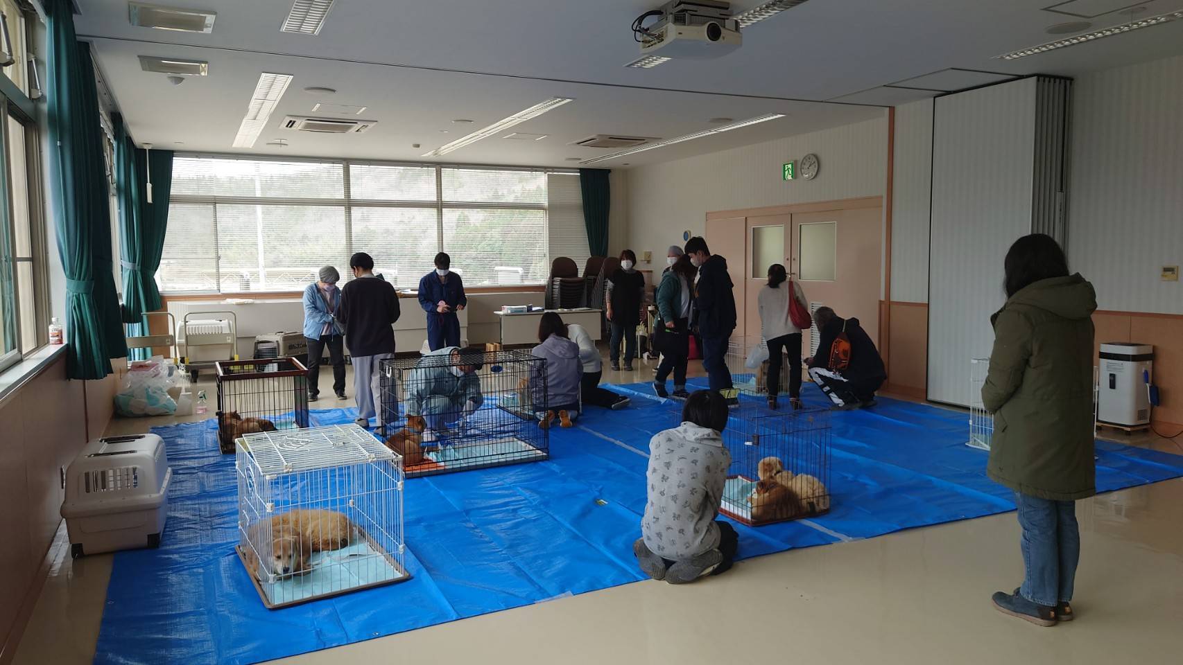 子犬お披露目会の様子