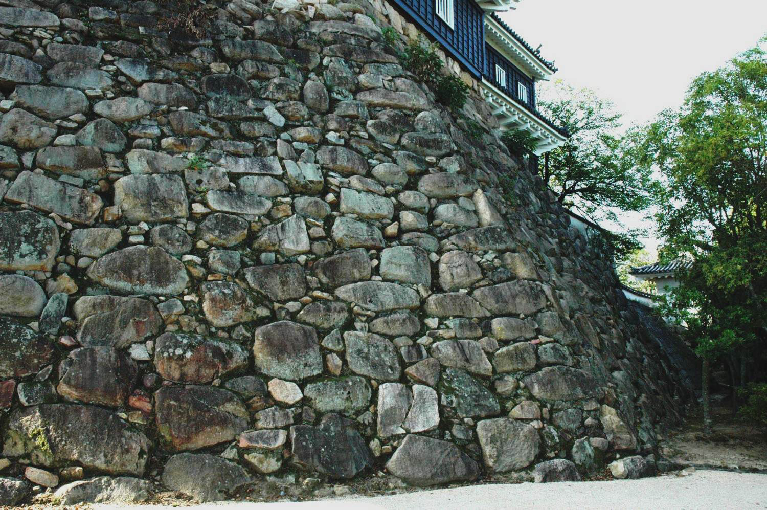 岡山城跡の写真