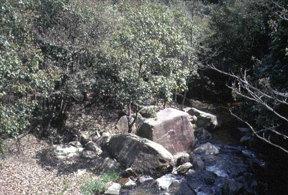 高松城水攻め鳴谷川遺跡の写真