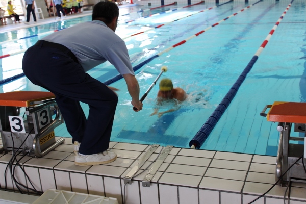 水泳の様子