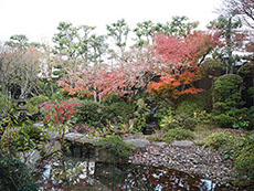 日本庭園の写真