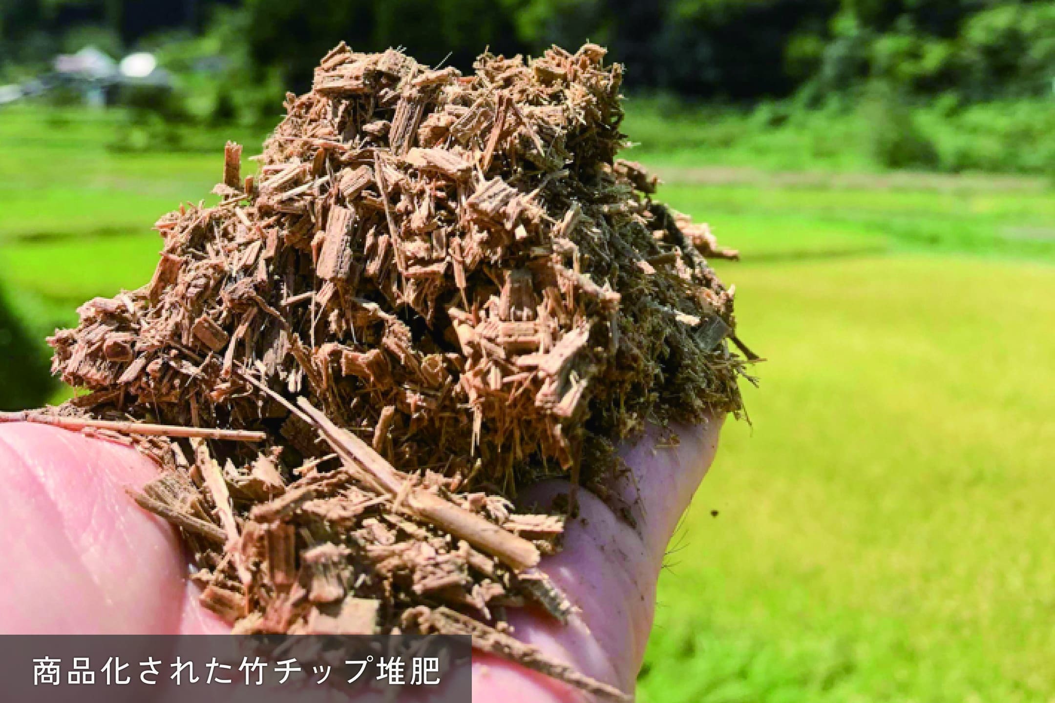 商品化された竹チップ堆肥の写真