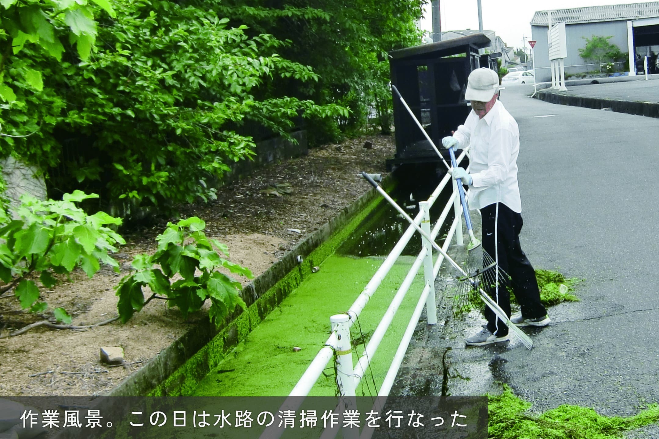 作業風景、この日は水路の清掃作業を行った