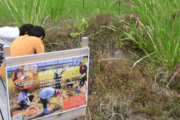 ビオ田んぼクラブの写真