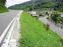 写真: 市道の草刈り・植樹
