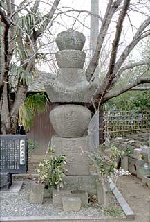 写真(全形)