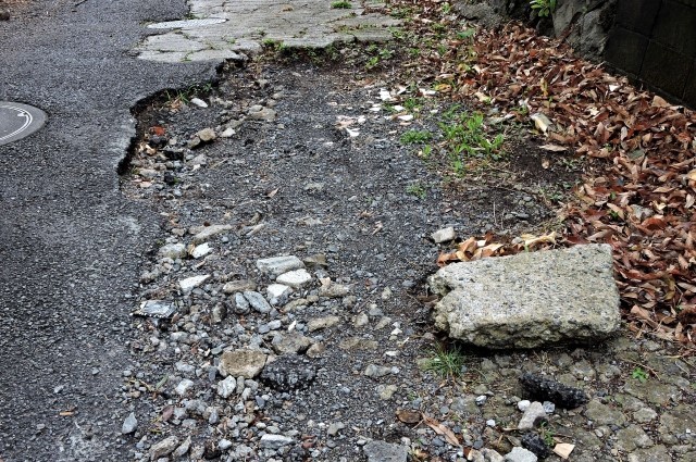 道路が地盤沈下した画像