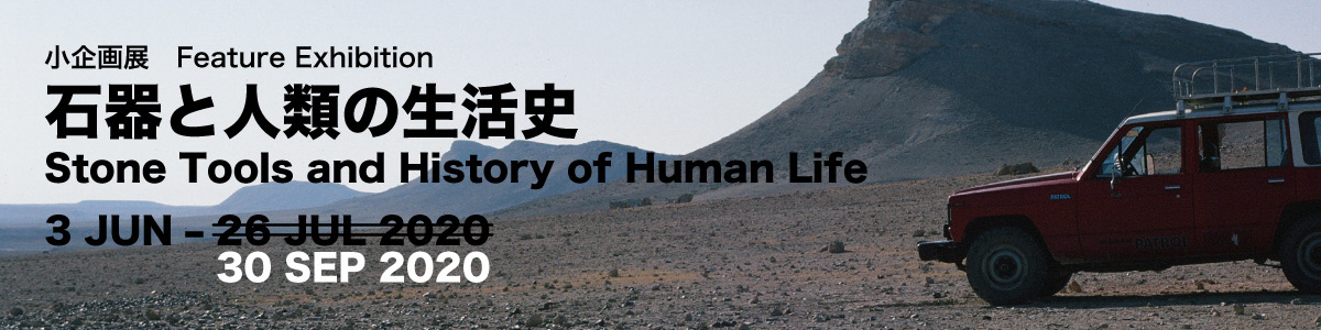 石器の人類の生活史