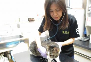 衛生課の仕事の1コマ