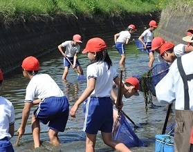 川で魚をとる様子