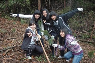 中学生・高校生による赤松の植林の写真