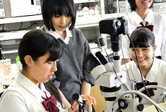 高校生（ノートルダム清心学園清心女子高等学校生物部）