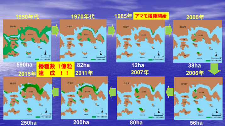 アマモ場の推移の図