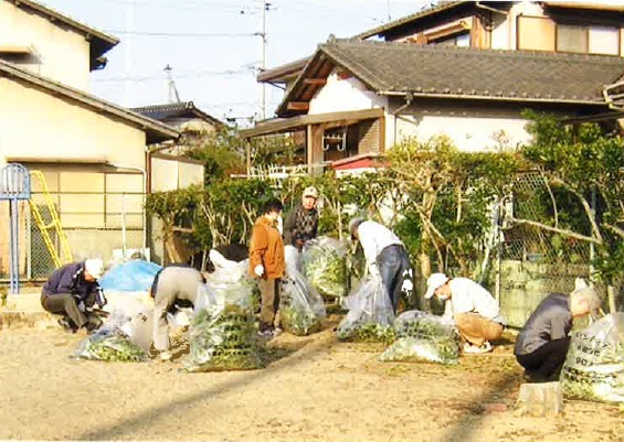 公園清掃の写真