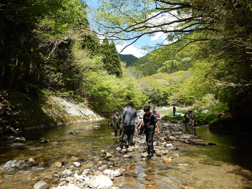 川に入ってフィールドワークの様子