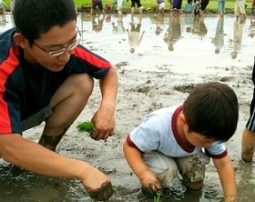 田植えをする親子の写真