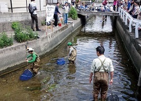 環境てんけんをしている写真