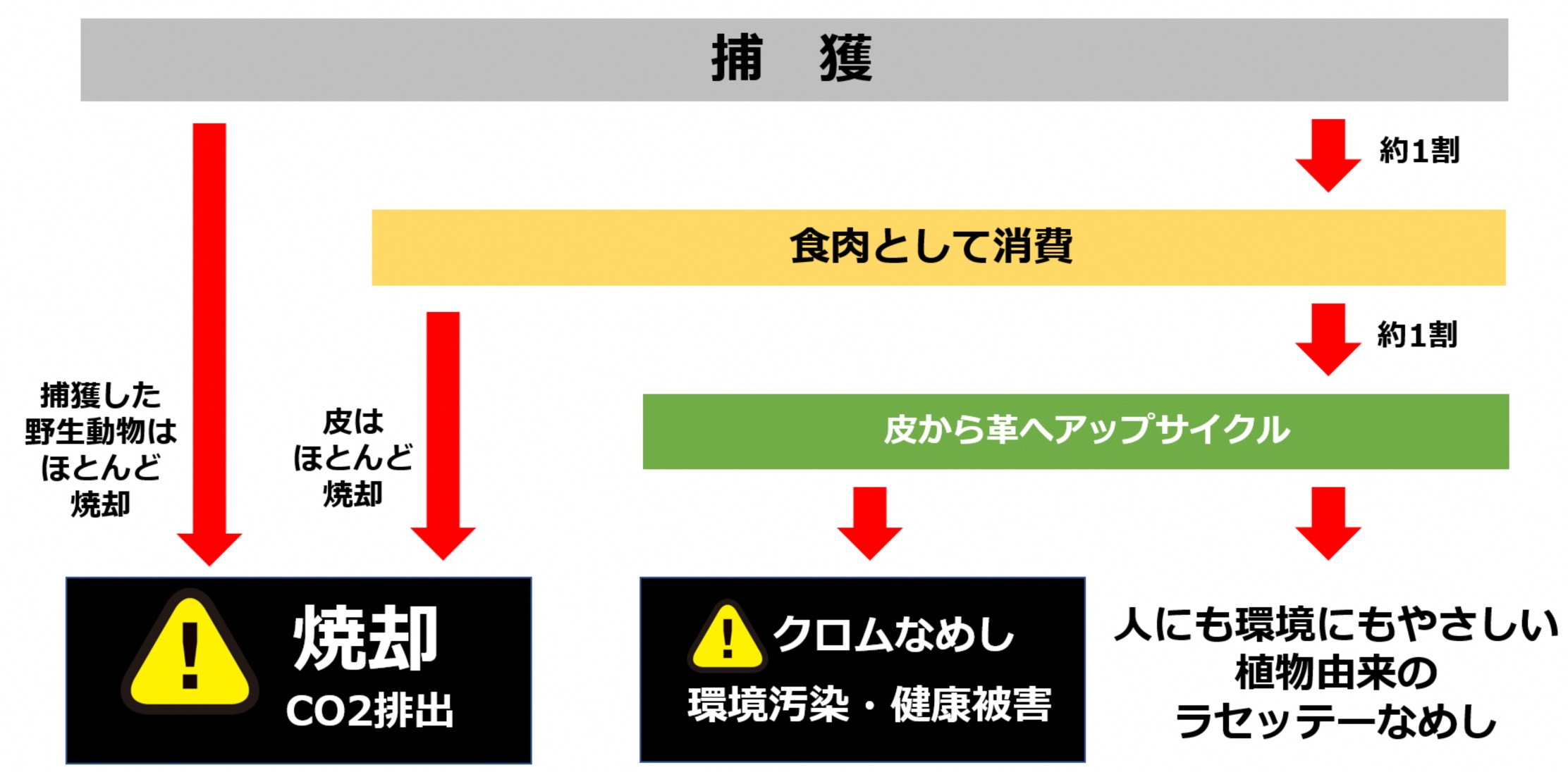 害獣駆除を取り巻く現状