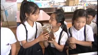 津島小学校「大豆の変身」の動画サムネイル画像