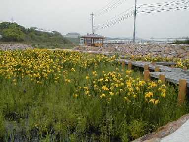 佐山川の改修の写真