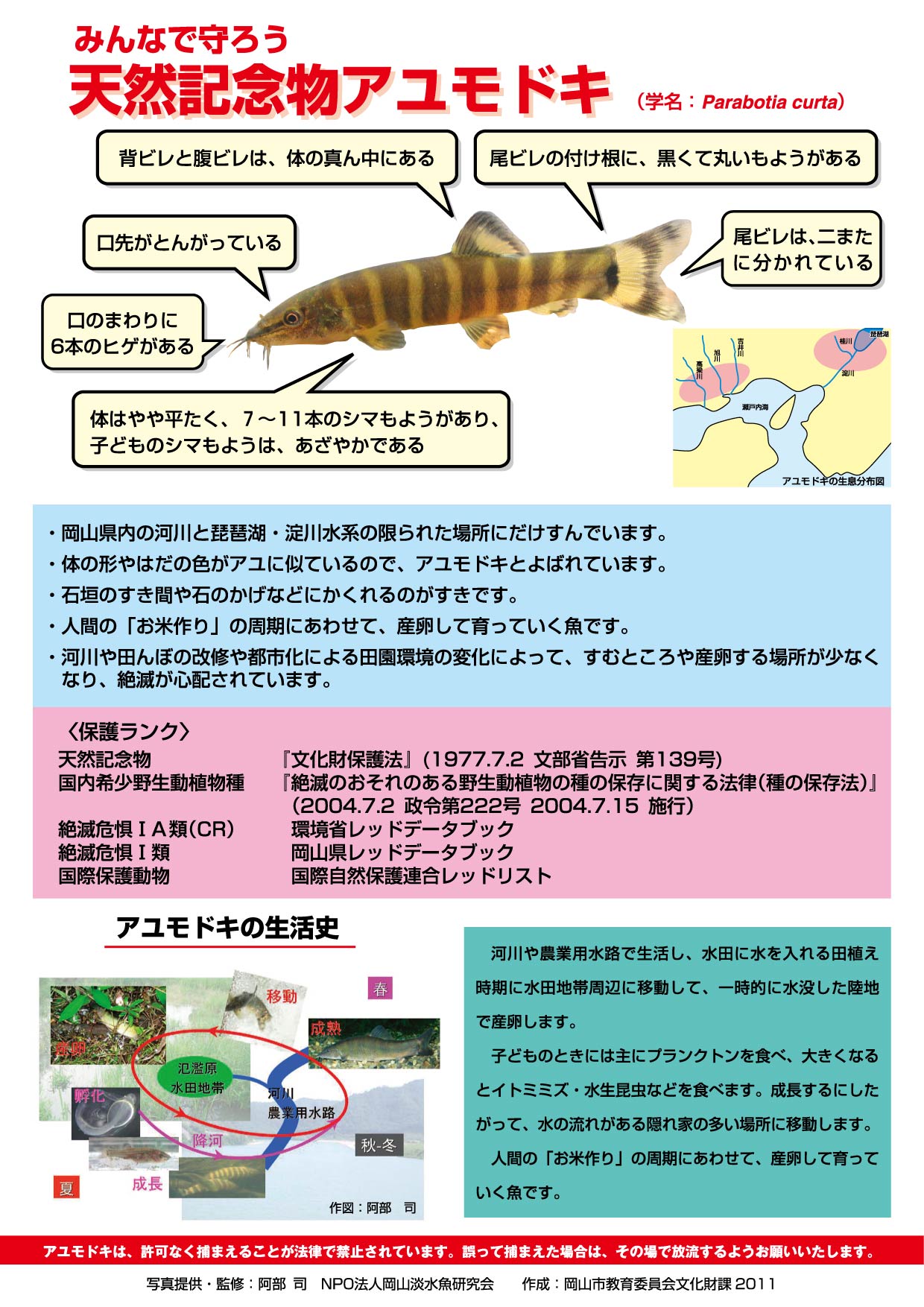 天然記念物アユモドキ紹介