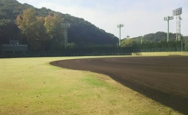 奥市公園野球場（本球場）の画像(1枚目)