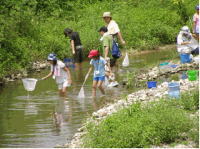 川で遊ぶ子供の写真