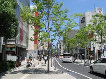 現在の県庁通り写真